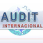 Icono Audit